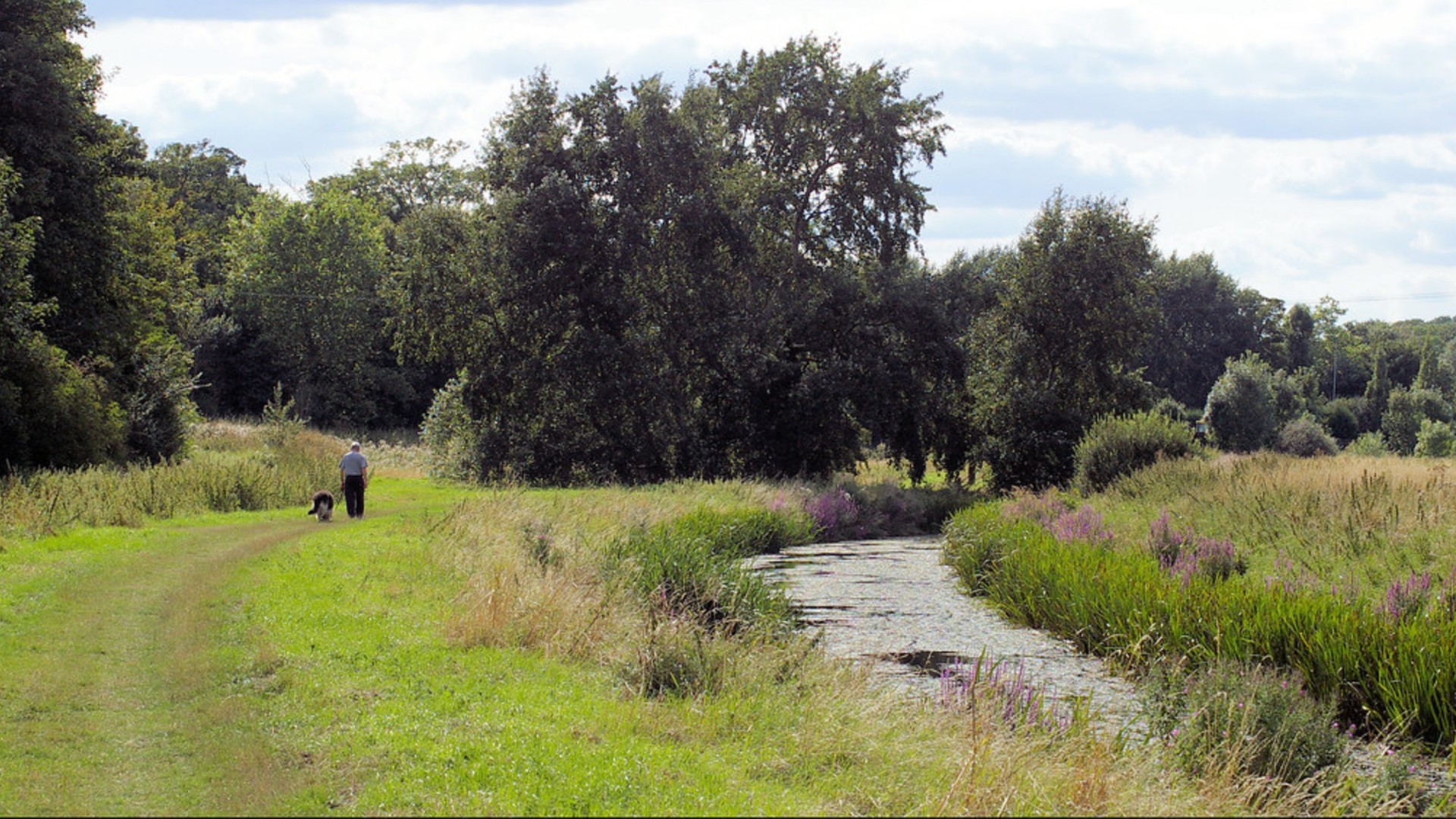 Mardyke river