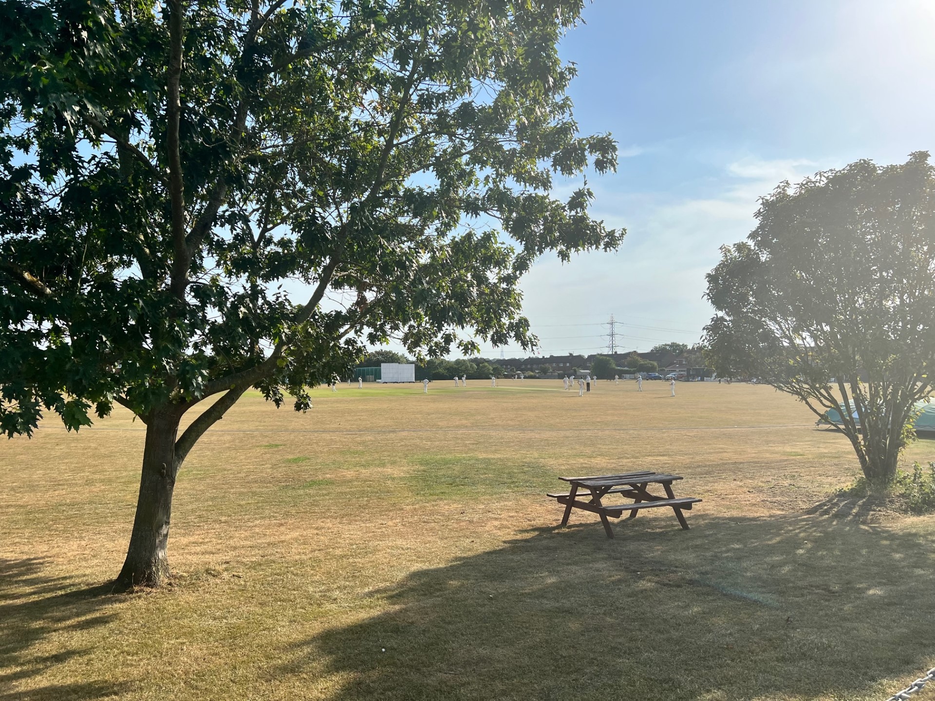 North Stifford Cricket