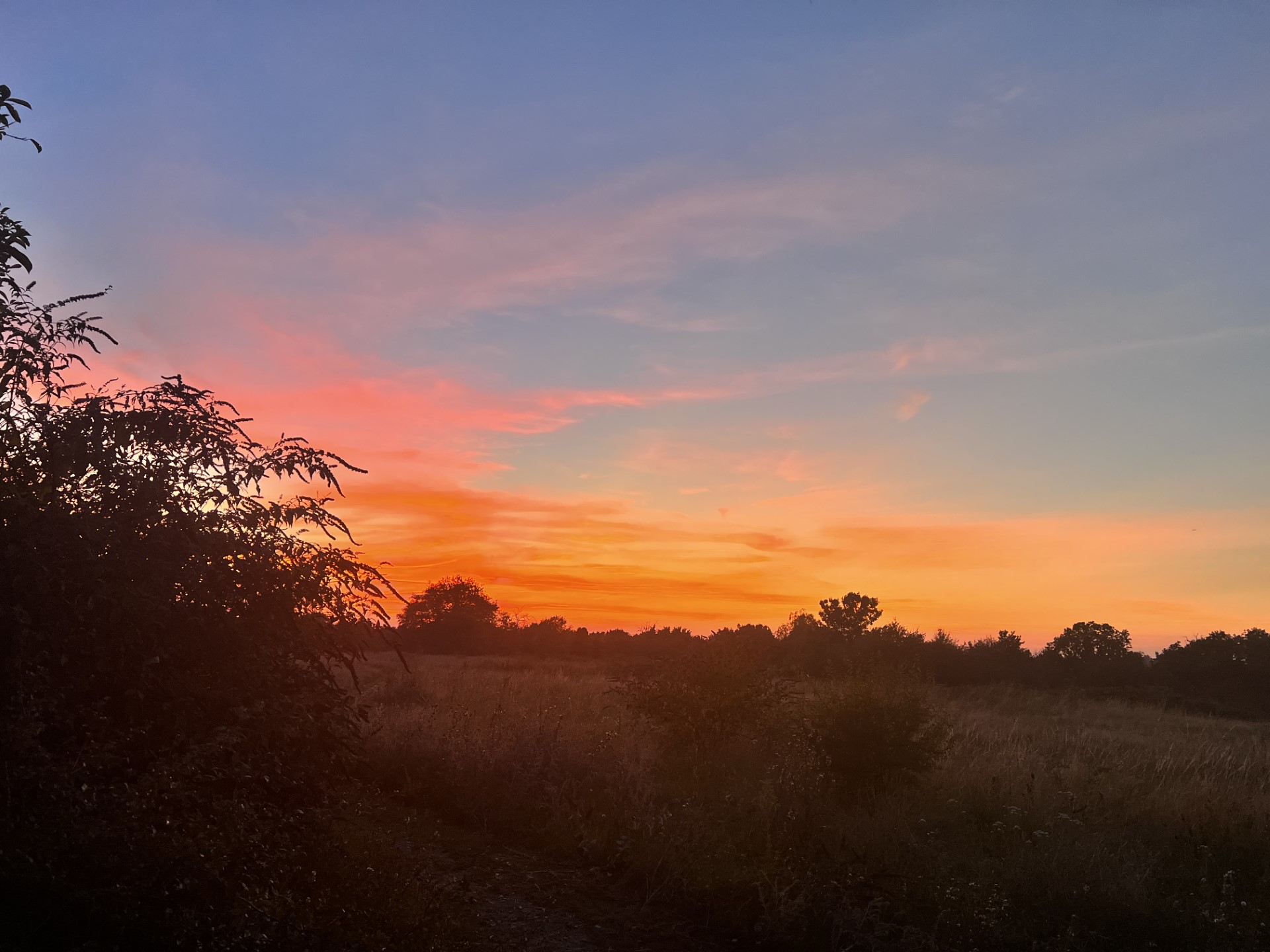 North Stifford Meadows